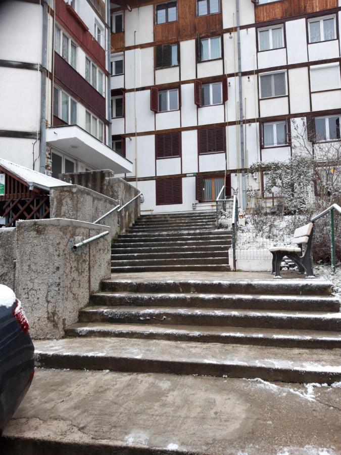 Apartament Elena Σινάια Εξωτερικό φωτογραφία
